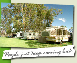 Caravan Park Spotlight