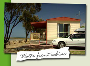 Caravan Park Spotlight