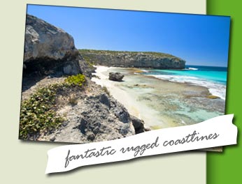 Fantastic Rugged Coastlines